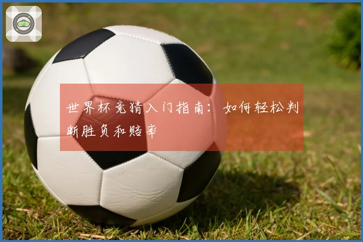 世界杯竞猜入门指南：如何轻松判断胜负和赔率
