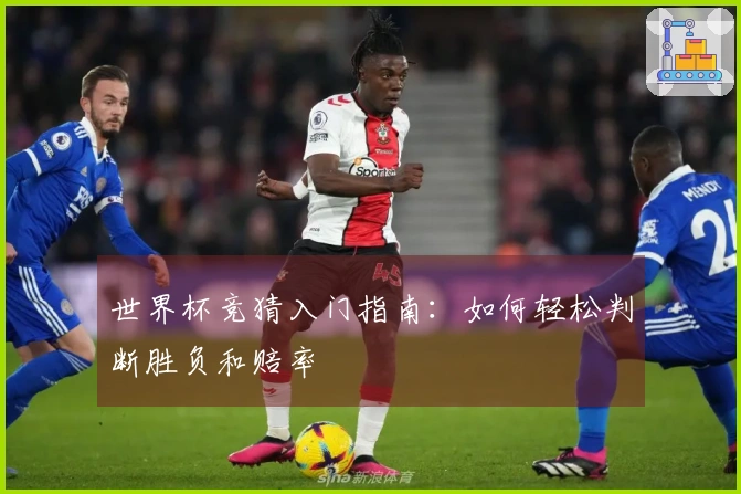 世界杯竞猜入门指南：如何轻松判断胜负和赔率