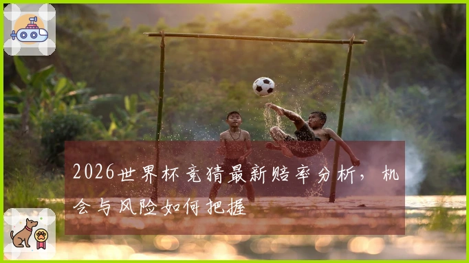 2026世界杯竞猜最新赔率分析，机会与风险如何把握