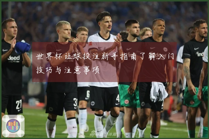 世界杯让球投注新手指南了解入门技巧与注意事项