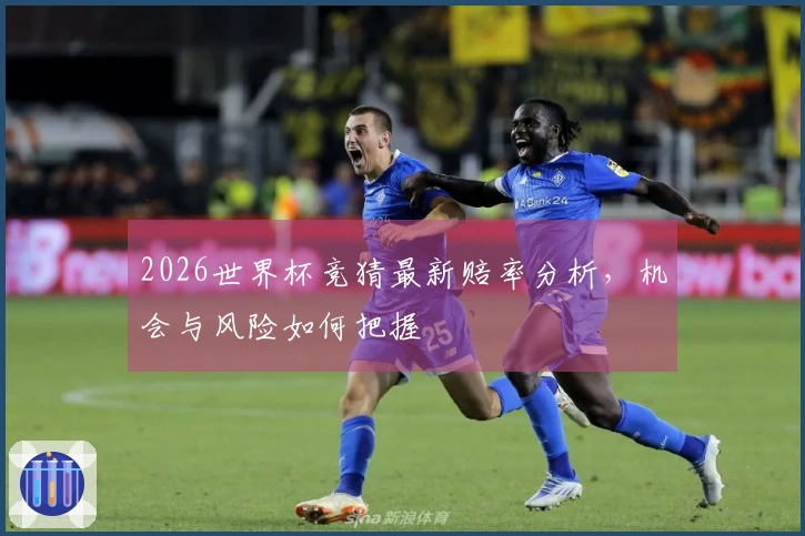 2026世界杯竞猜最新赔率分析，机会与风险如何把握