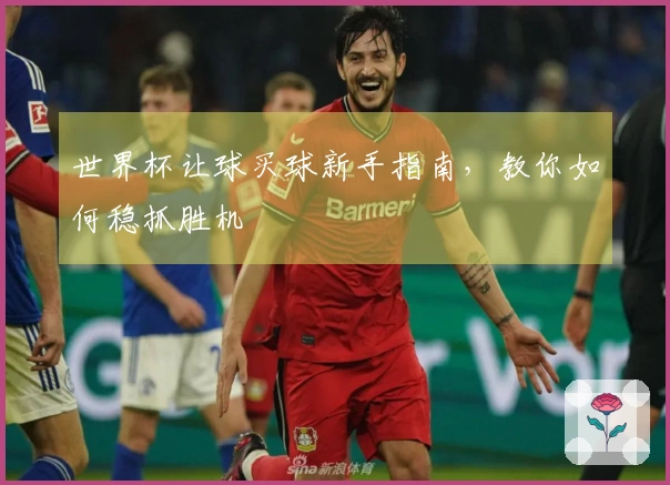 世界杯让球买球新手指南，教你如何稳抓胜机