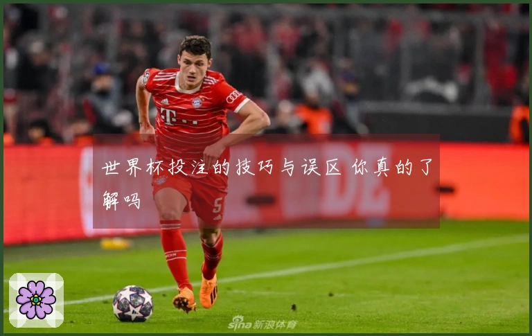 世界杯投注的技巧与误区 你真的了解吗